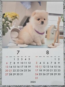 【1冊:大きい カレンダー 可愛い 子犬:B3:52x36cm】★2025★:壁掛け★犬・仔犬・いぬ・イヌ:12か月／6面★こよみ:暦:D No1