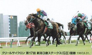 ●クリールサイクロン 第17回新潟3歳ステークステレカ2