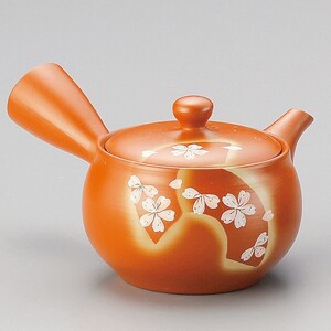 常滑焼！　富仙　☆朱泥帯丸扇面桜急須☆ 　Y814　新品 お茶 茶器　煎茶 深蒸し ほうじ茶 ポット ギフト　　　