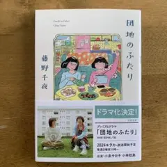 藤野千夜　団地のふたり