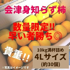 【値下げ!!】会津身知らず柿　みしらず柿　柿　4Lサイズ10キロ満杯詰め