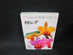 NHK趣味の園芸：作業12ヵ月6　カトレア　シミ有/WCD