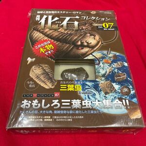 複　Y501. 7. 未開封 化石付き 月刊化石コレクション NO.07地球と古生物のミステリー・ロマン　保管品　シュリンク付き　