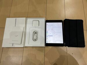 中古　iPad mini5 Wi-Fi＋cellular 256GB　グレー　SIMフリー　おまけ付き