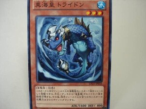 遊戯王LTGY33　真海皇 トライドン　１枚