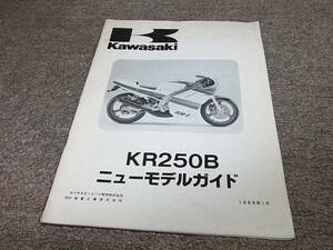 R★ カワサキ　KR250B　KR250-B1　ニューモデルガイド