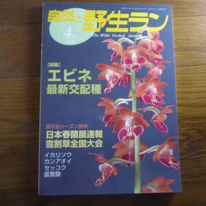 ＹＮ1-240910☆自然と野生ラン 2006年4月号　