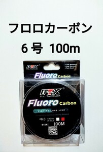 フロロカーボン　ライン　6.0号　100m　30.36b　釣り糸　リーダー　ショックリーダー　道糸 6号　ハリス