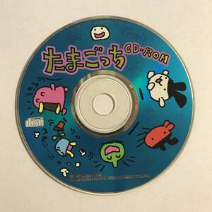 【CD-ROM】たまごっち【ディスクのみ】@2W-FIT04-C