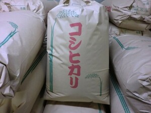 令和６年度産　穫れたてほやほや！!三重のコシヒカリ　玄米 重量ゆうパック30kg　送料コミコミ価格