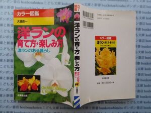 古本　K.no.101 カラー図鑑 洋ランの育て方・楽しみ方 洋ランのある暮らし 大場良一 成美堂出版 蔵書　会社資料