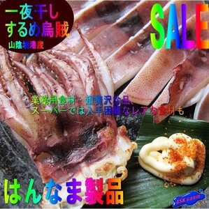 山陰境港産「スルメイカ 一夜干し3枚/450～600g」当港自慢の－はんなま製品－