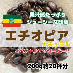 【自家焙煎珈琲200g/20杯分】エチオピア イルガチェフェ アリーチャ ナチュラル/モカ/スペシャルティーコーヒー