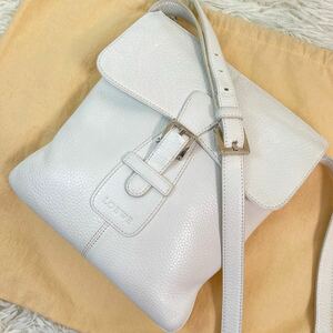 1円【極美品・極希少】LOEWE ロエベ ショルダーバッグ コサッシュ斜め掛け ボディ レザー 本革 フラップ メンズ ビジネス 白 ロゴ型押し