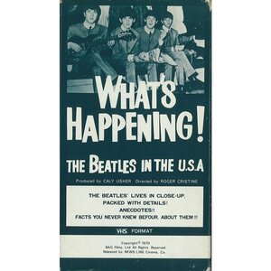 送料無料！ザ・ビートルズ「The Beatles / WHAT