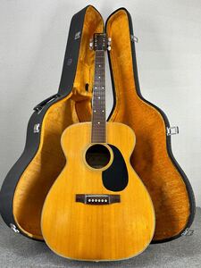 PRO MARTIN F-220 アコースティックギター