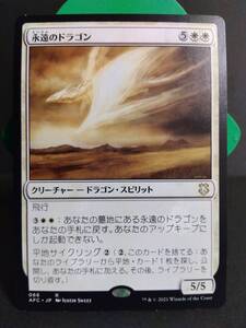 即決　 永遠のドラゴン　白　MTG　マジック：ザ・ギャザリング　レア　日本語　まとめて取引歓迎です