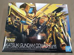 RG 1/144 アカツキガンダム オオワシ装備 機動戦士ガンダムSEED DESTINY　未使用　簡易梱包のみ　送料無料　