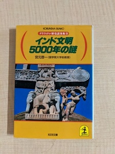 インド文明5000年の謎 (光文社文庫―グラフィティ・歴史謎事典) /O5859/初版