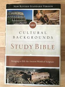 NRSV Cultural Backgrounds Study Bible: New Revised Standard Version: Bringing to Life the Ancient World of Scripture (Zondervan)