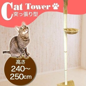 キャットタワー 突っ張り 爪とぎ 猫タワー スリム ネコタワー 240～250cm 木登りタワー シンプルタイプ キャットランド ベージュ