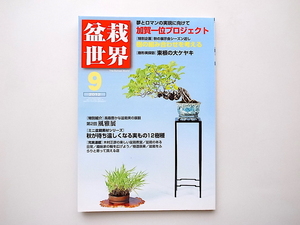 20A◆　盆栽世界2012年09月号［巻頭特集］加賀一位プロジェクト