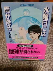 水曜日には雨が降る　大和真也