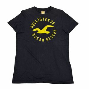 ホリスター ビッグロゴ デカロゴ Tシャツ ワッペン 刺繍 アメカジ　　HOLLISTER フェード 色褪せ 褪色 雅瀬709