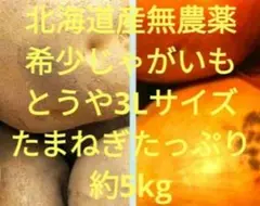 農薬栽培期間中不使用北海道産無農薬希少じゃがいもとうや3Lサイズと玉ねぎ約5kg