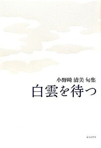 白雲を待つ 小野崎清美句集 百鳥叢書/小野崎清美【著】