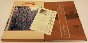 古書1981★*函 帯 月報付/初版★入江泰吉写真全集(1) 大和路百景 定価4800円 集英社(日本 奈良 花 雪 平城京跡 山の辺の道 飛鳥路 室生路