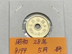 昭和２８年　５円黄銅貨　磨き品　NO.8199