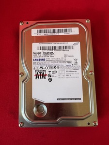 ハードディスク SAMSUNG HA250HJ 250GB HDD（レコーダー DV-AC72から外し）動作確認済み　(A3)