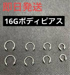 【16Gサーキュラーバーベルボディピアス】