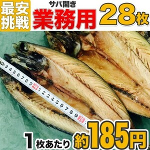 サバ開き 28枚 鯖 さば 一夜干し 水産卸元直送 ふっくらジューシー鯖 開き魚 乾物 干物 サバ 干物 業務用 まとめ買い 行楽