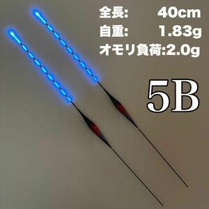 棒ウキ　5B　2本セット　9点発光　LED電気ウキ　 へらウキ　　グレ　メジナ　夜釣り 　へら浮き 　ヘラウキ 　チヌ　D03