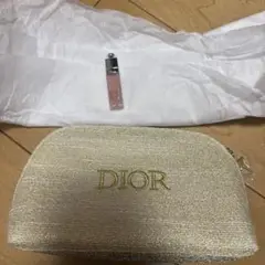 Dior フラグメントケース ゴールド