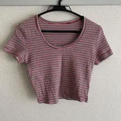 American Apparel ボーダー クロップド Tシャツ