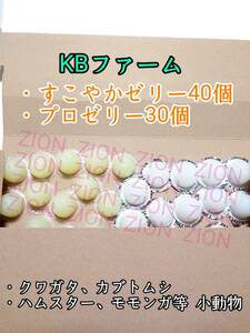 KBファーム すこやかゼリー16g 40個 プロゼリー16g 30個 クワガタ カブトムシ 小動物 ハムスター モモンガ ハリネズミ 昆虫ゼリー