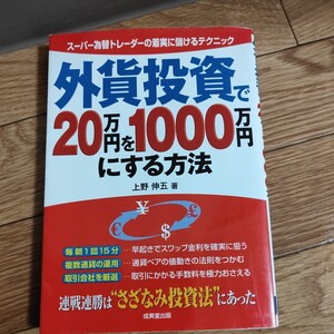 外貨投資で20万円を1000万円にする方法