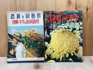 ガーデンライフ別冊　日本のキク　/　農耕と園芸　図解キクの営利栽培　2冊　CGD2940