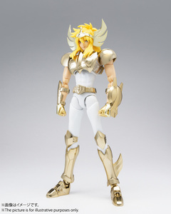 新品 聖闘士聖衣神話EX キグナス氷河（新生青銅聖衣）GOLDEN LIMITED EDITION /TAMASHII NATIONS STORE 魂ネイションズストア