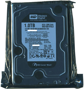 Western Digital製HDD WD1001FALS 1TB SATA300 7200 [管理:20343694]