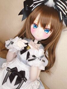 DDH-29 セミホワ カスタムヘッド MDD ボークス ドルフィードリーム