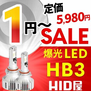 【1円～セール!】定価5980円【全1円出品商品の中で1番高く落札した方にプレゼント】HID屋 LED 爆光 ヘッドライト HB3 バルブ 車検対応 保証