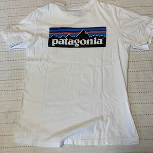 パタゴニア　ロゴ　白色Tシャツ　Mサイズ　patagonia