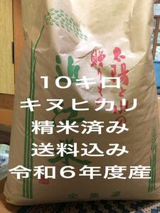 滋賀県　キヌヒカリ　新米　精米済み　10キロ送料込み　令和6年度産　近江米