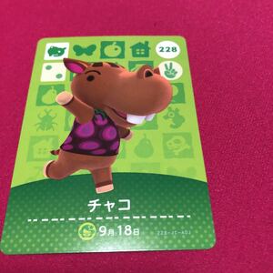 どうぶつの森　amiiboカード　チャコ