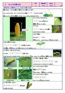 学び道場の【小学３年かんたん理科マスター】小３向け理科教材★理解→暗記→テストの順に効率良く学習できます★WORD版とPDF版を収録★