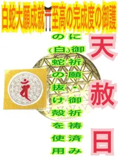 フトマニ図✨龍体文字✨未✨申✨蛇の抜け殻✨白蛇のお守り【天赦日ご祈祷済み】AC